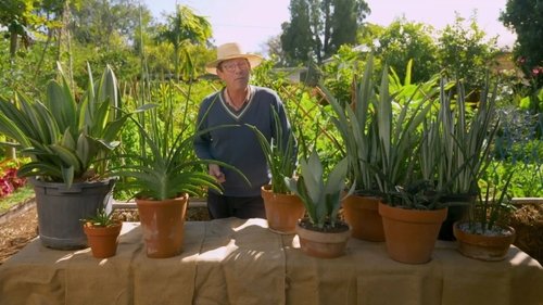 Background image for Episode 12 Wendy Whiteley, Chook Coop Tips & Microfarms