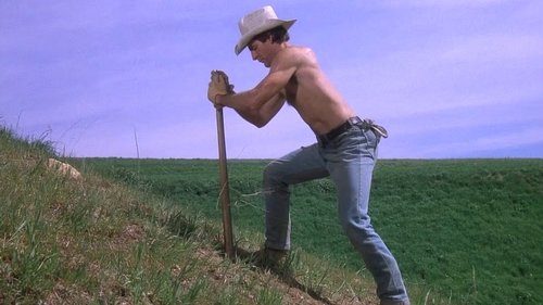 Background image for How the Tess Was Won