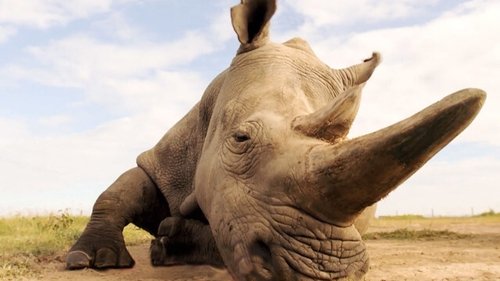 Background image for Episode 19