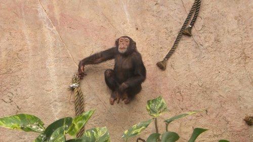 Background image for Episode 10