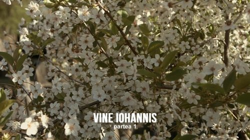 Background image for Vine Iohannis (1)