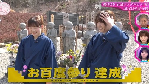 Background image for Sakurazaka46 2nd single hit prayer campaign