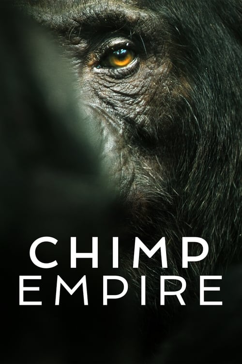 Show cover for Chimp Empire