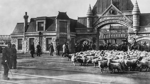 The Union Stockyards