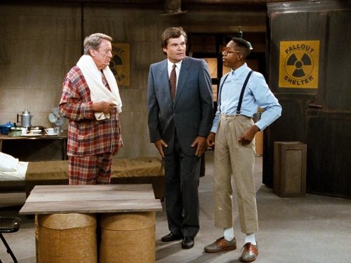 Background image for The Looney Bin