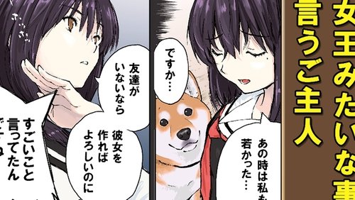 The Misunderstood Ones (Master`s Story) / The Misunderstood Ones (Shiba Inu Story)