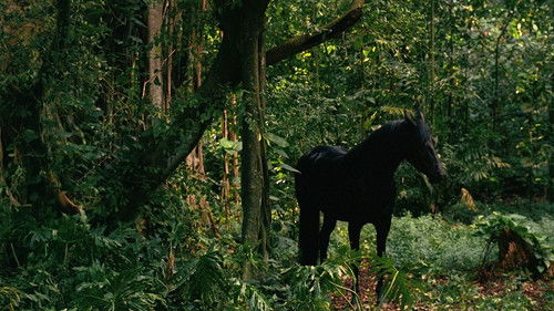 Background image for What Kate Did