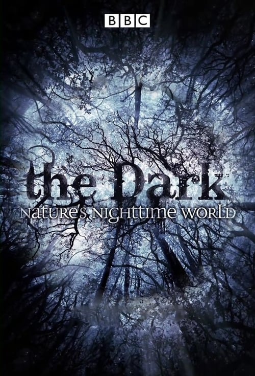 Show cover for The Dark: Nature's Nighttime World