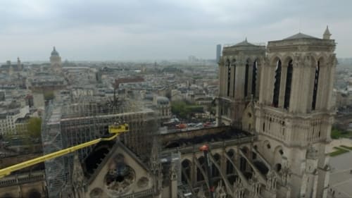 Resurrecting Notre-Dame