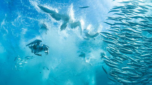 Background image for Oceans