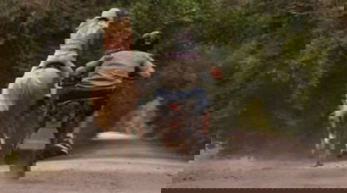 Background image for Close Encounters of the Furred Kind