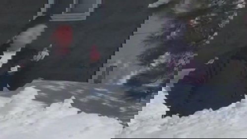 Background image for Living the American Nightmare