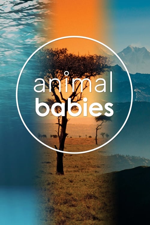 Show cover for Animal Babies