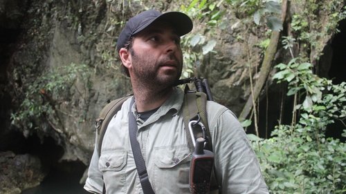 Background image for Buffalo Stampede