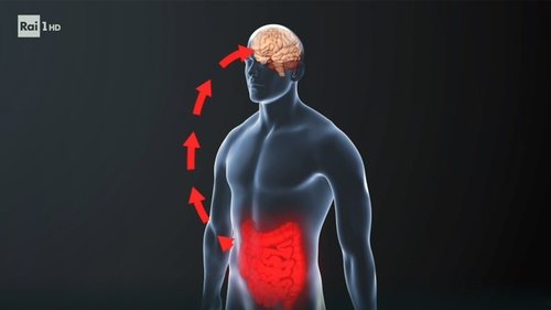 Background image for Xylella, the brain-gut link, and private astronauts