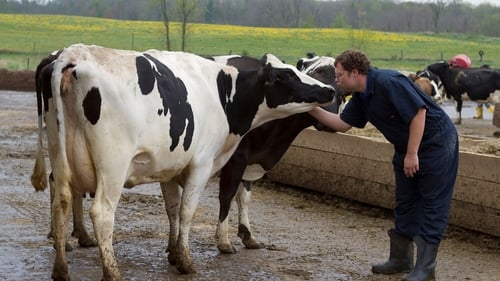 Udder Madness