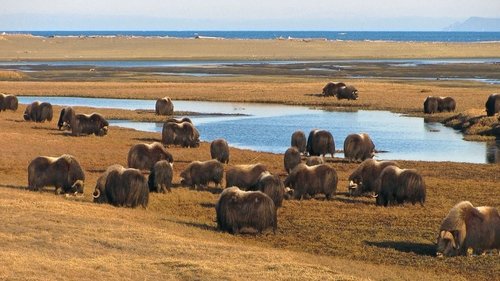 Gates of the Arctic