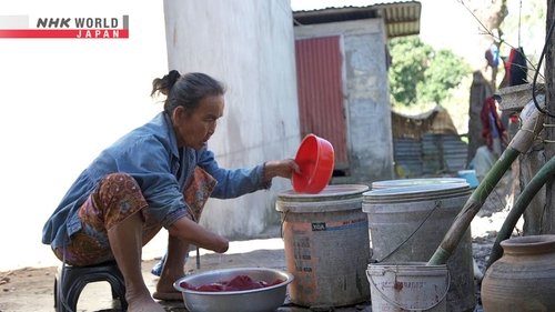 Background image for Victims of Leftover Unexploded Ordnance: Laos