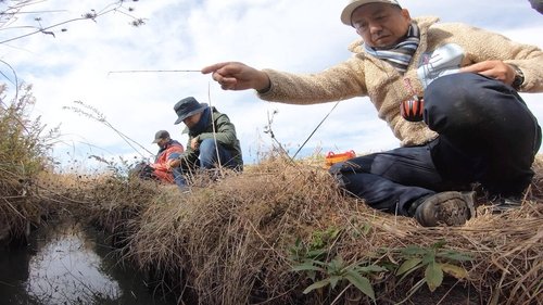 Background image for Fishing Crazy: In Pursuit of the Smallest Catch