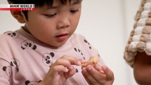 Background image for Sawdust Clay