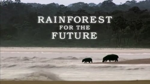 Gabon - Forests of the Future