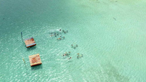 Background image for Episode 13