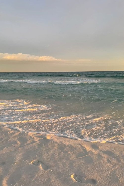 Erie Beach : The Next Chapter