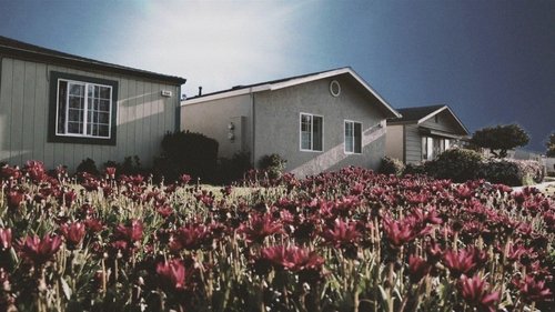 Background image for Off of Our Grass