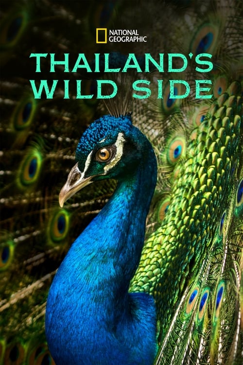 Show cover for Thailand's Wild Side