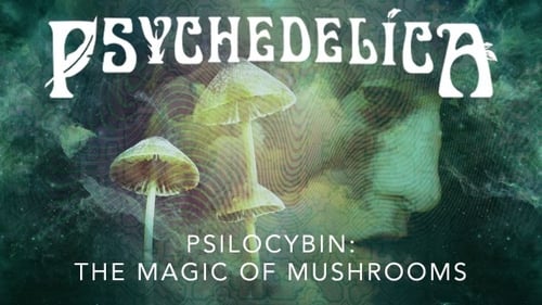 Psilocybin: The Magic of Mushrooms