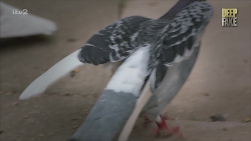 Background image for Episode 2