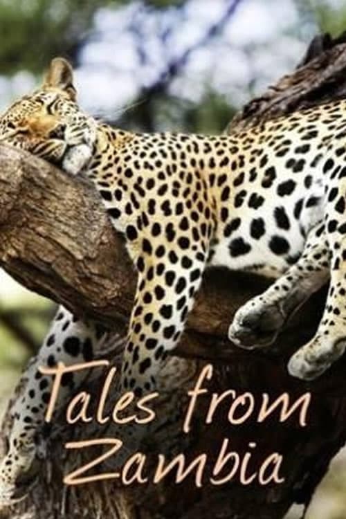 Show cover for Tales from Zambia