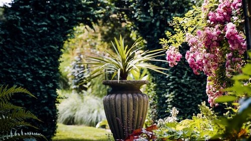 Background image for The colour garden