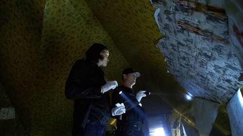 Background image for In A Dark, Dark House (3)