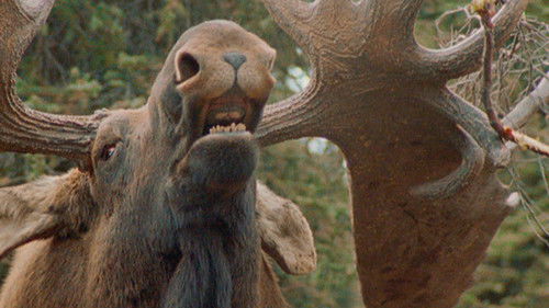 Background image for Montauk Monster