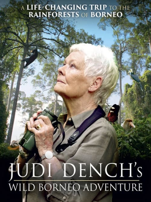 Show cover for Judi Dench's Wild Borneo Adventure