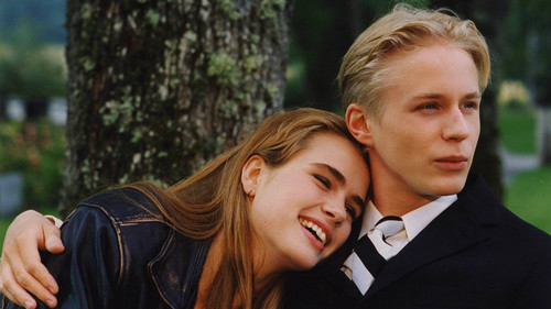 Background image for Rapport till himlen