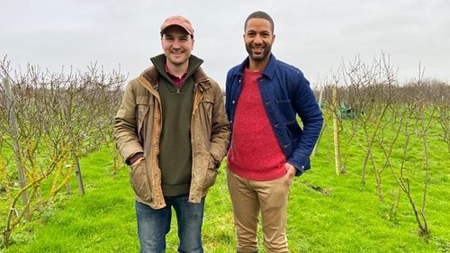 Background image for Farm Diversification
