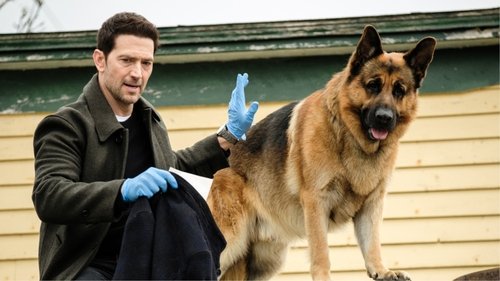 Background image for Of All the Gin Joints