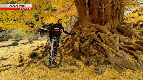 Background image for Saitama Traditions - Tokyo's Scenic Neighbor