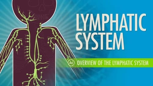 Lymphatic System