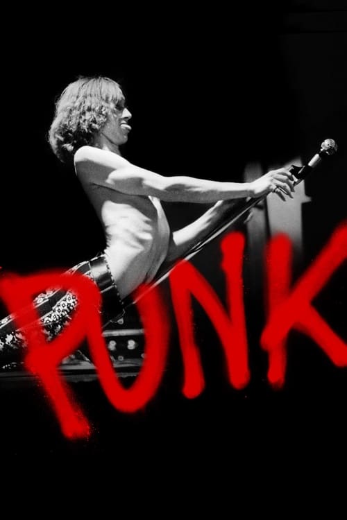 Show cover for Punk