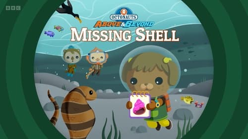 Missing Shell