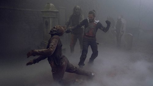Background image for Evolution