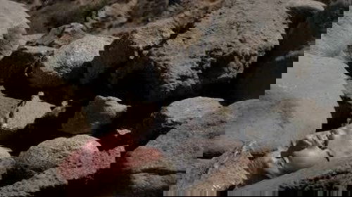 Background image for In the Blood