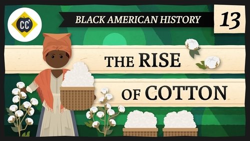Background image for The Rise of Cotton