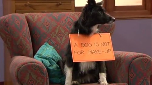 Background image for Annie’s Protest