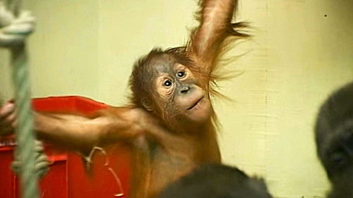 Background image for Episode 2