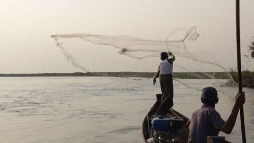 Background image for Fishing with Dolphins: Myanmar