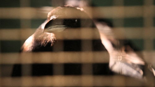 Background image for Episode 24